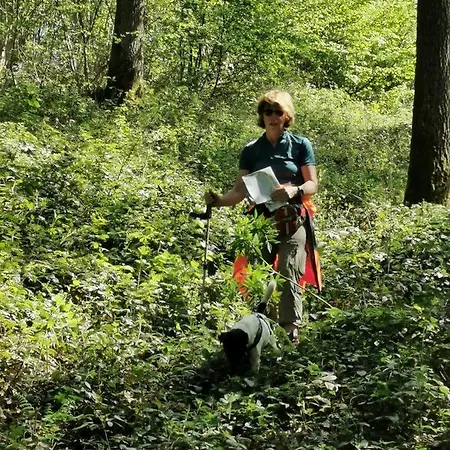 펜션 L'atelier 호후예트