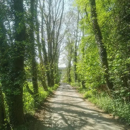 بيت للعطل L'atelier *